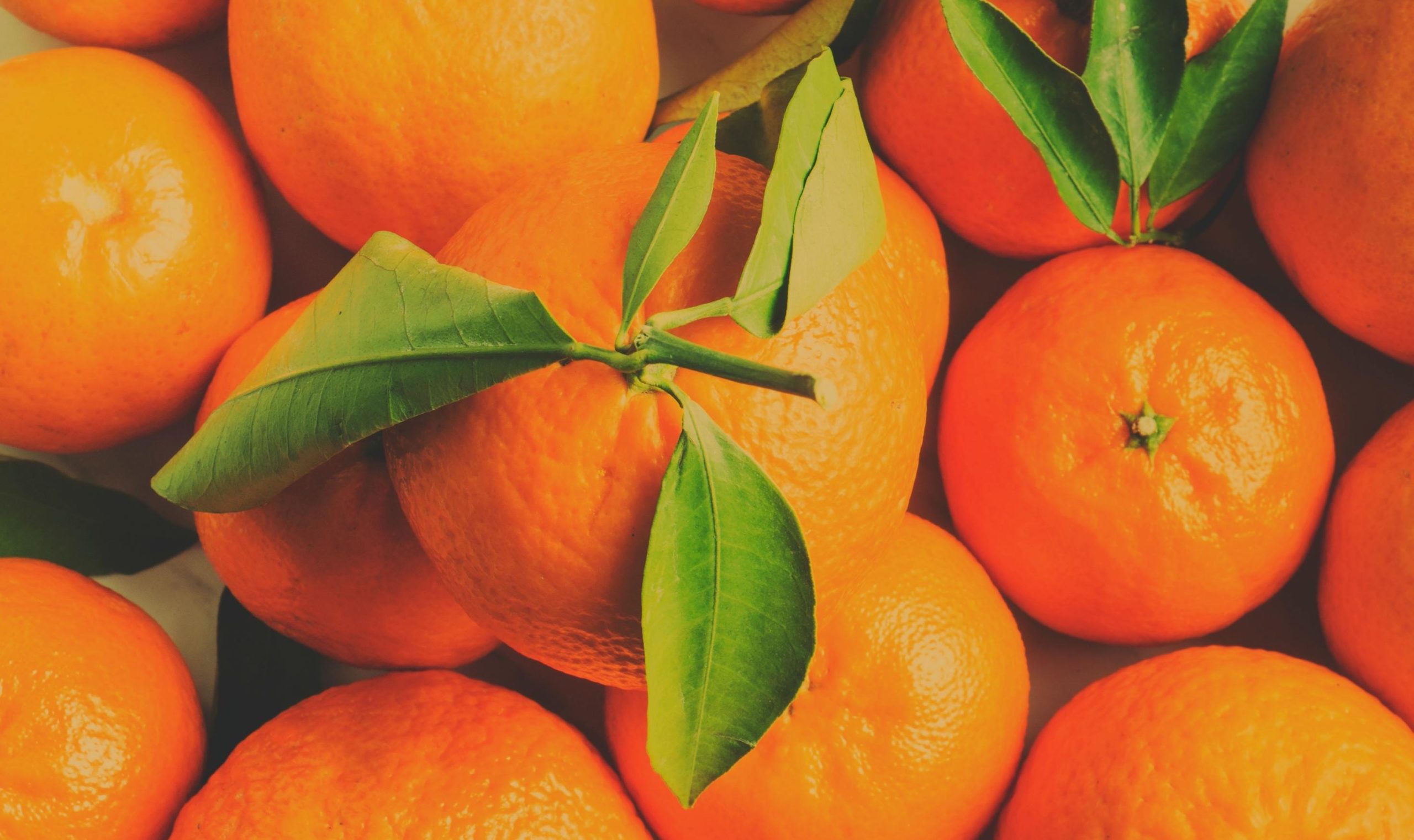 Fresh Citrus