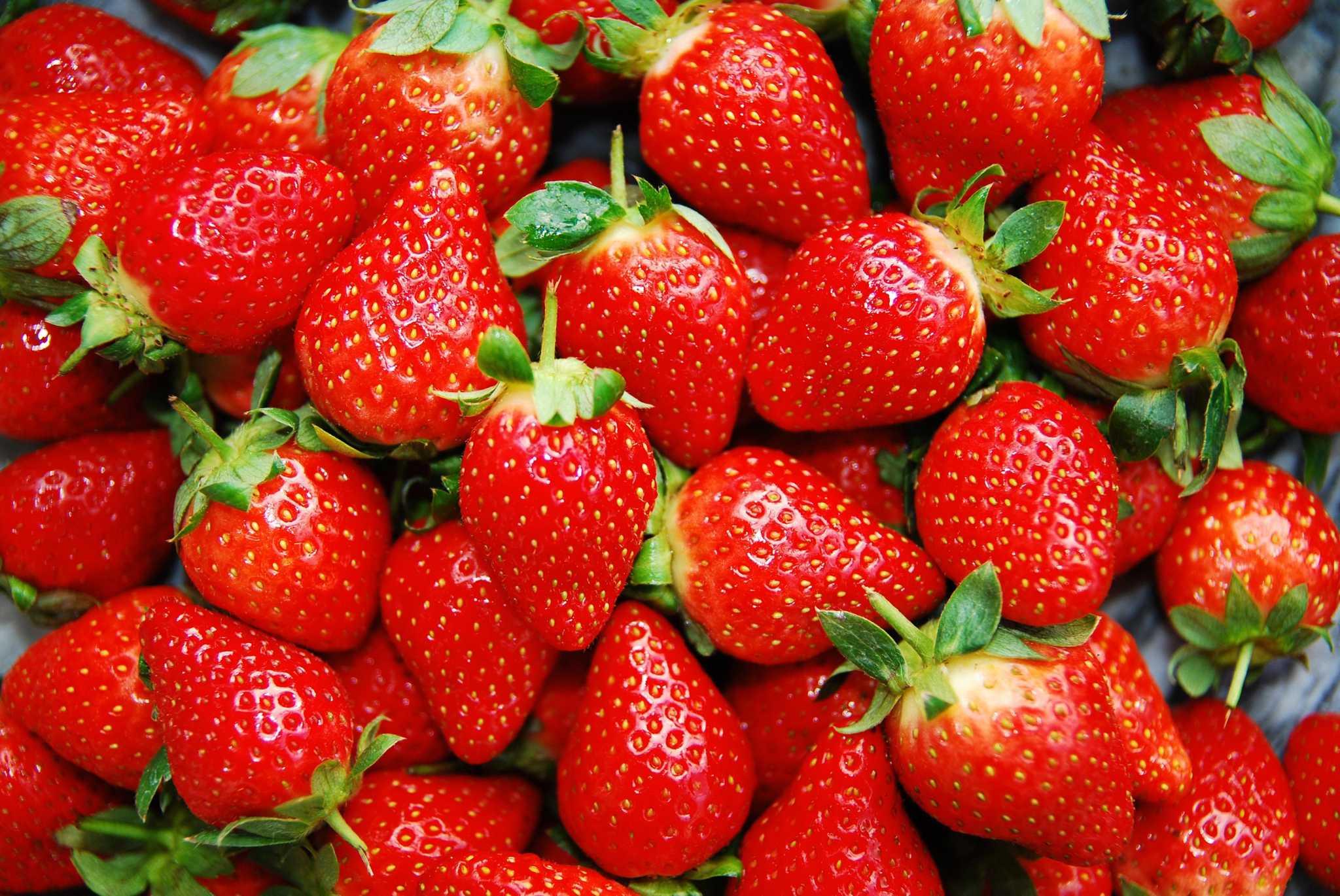 Frozen Strawberries