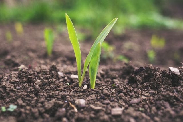 Sustainable operations